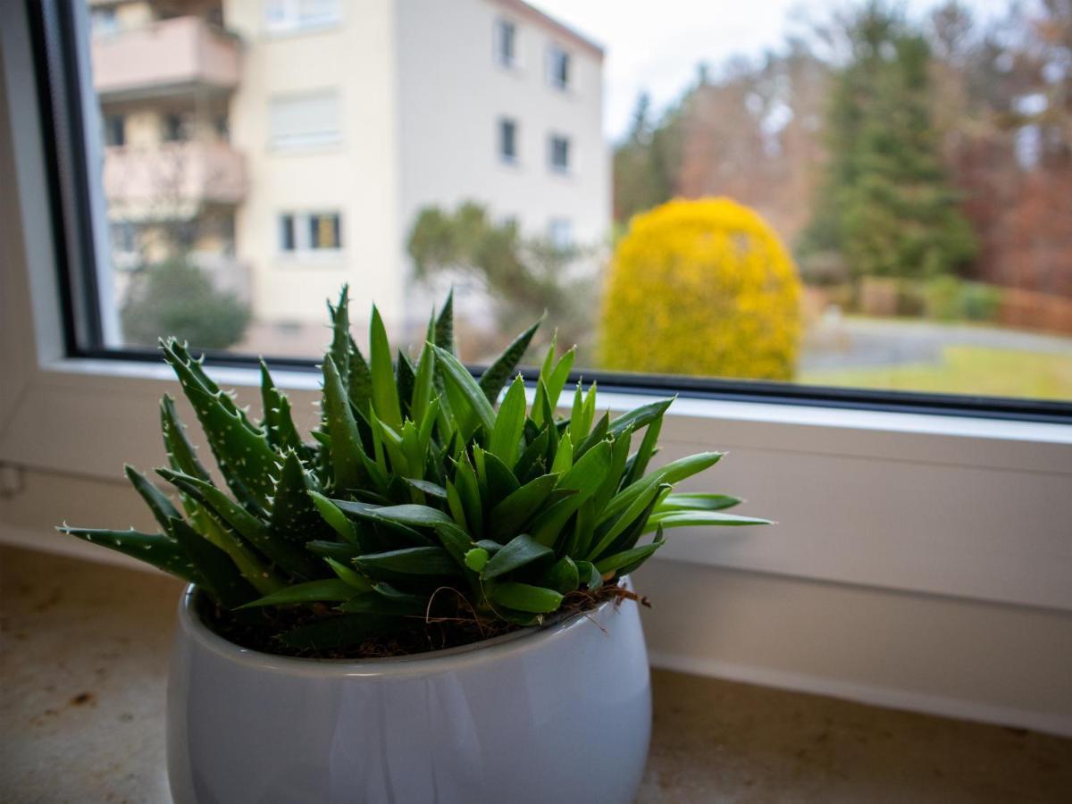 Seewaldblick - Ferienwohnung Am Bodensee FDH Exterior foto